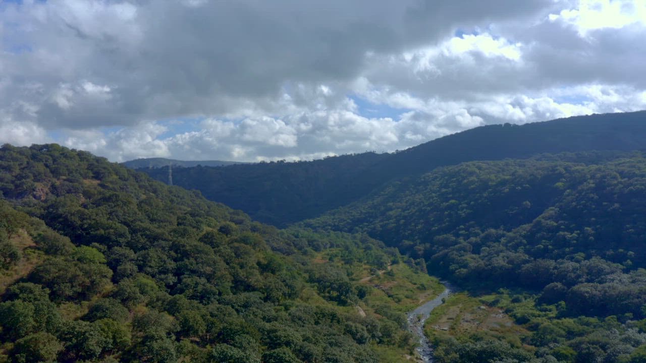 Un entorno natural y sereno